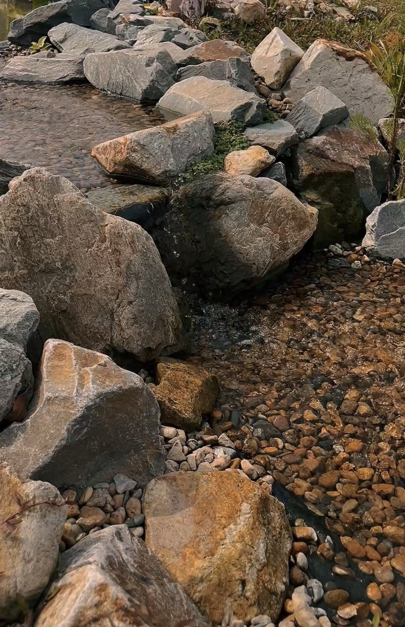 Natural pool Elma dengan pantulan pokok